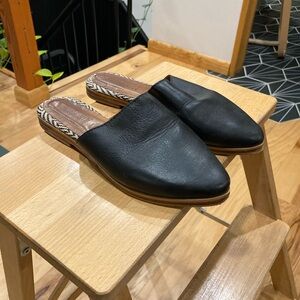 The Root Collective Lilli Mule in Black size 7